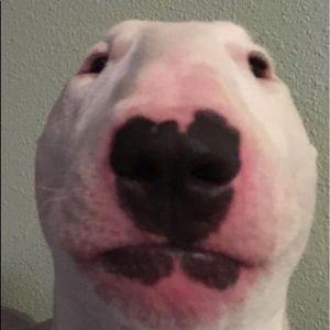 Meet your Posher, Destiny